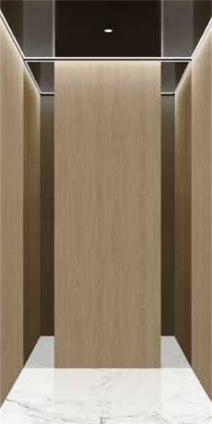 怡家无机房家用电梯